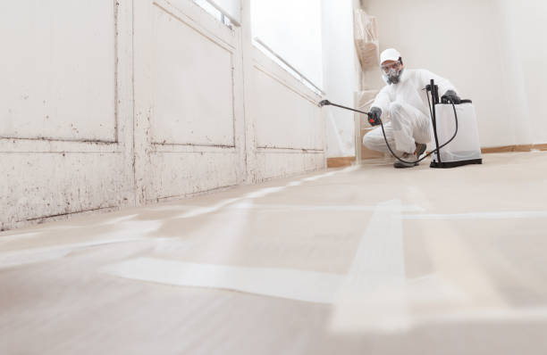 24/7 Emergency Attic Mold Removal experts in Burlington, NJ