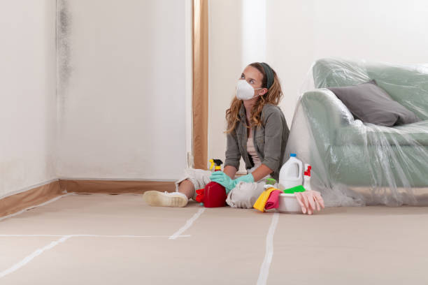 Reliable Attic Mold Removal contractor in Burlington, NJ by WQB Mold Removal