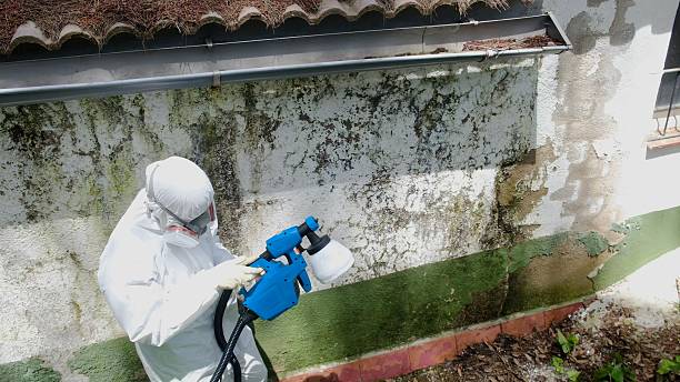 Top rated local Attic Mold Removal specialists in Burlington, NJ